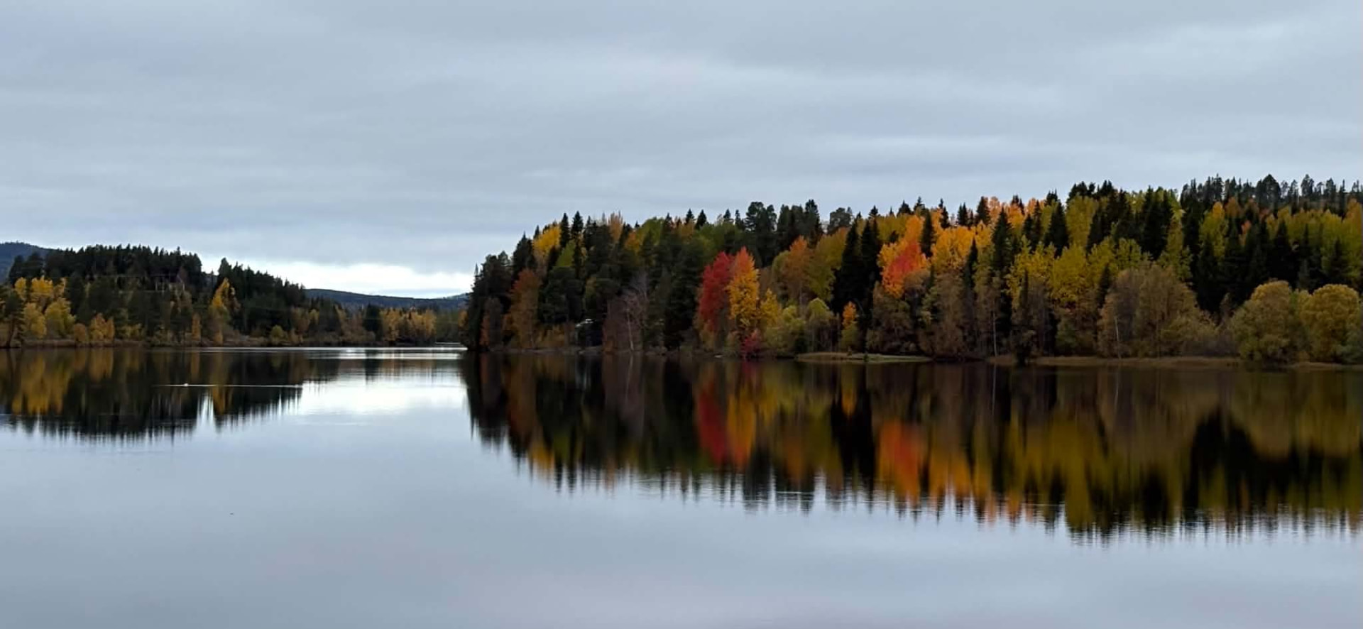 Still sjö med höstfärgad skog speglad i vattnet i Jämtland